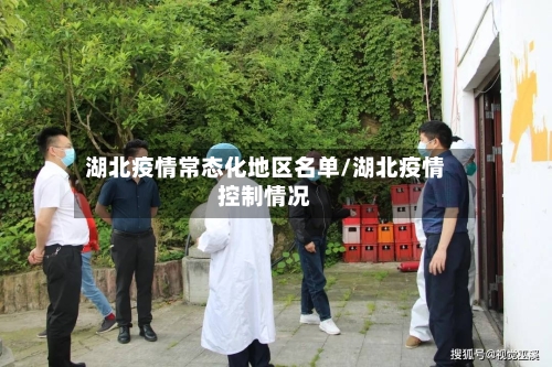 湖北疫情常态化地区名单/湖北疫情控制情况-第3张图片