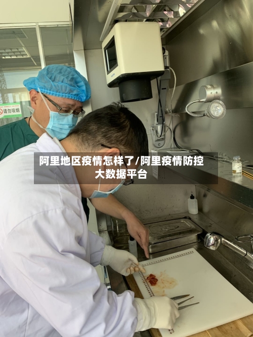 阿里地区疫情怎样了/阿里疫情防控大数据平台