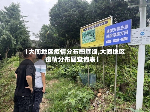 【大同地区疫情分布图查询,大同地区疫情分布图查询表】-第2张图片