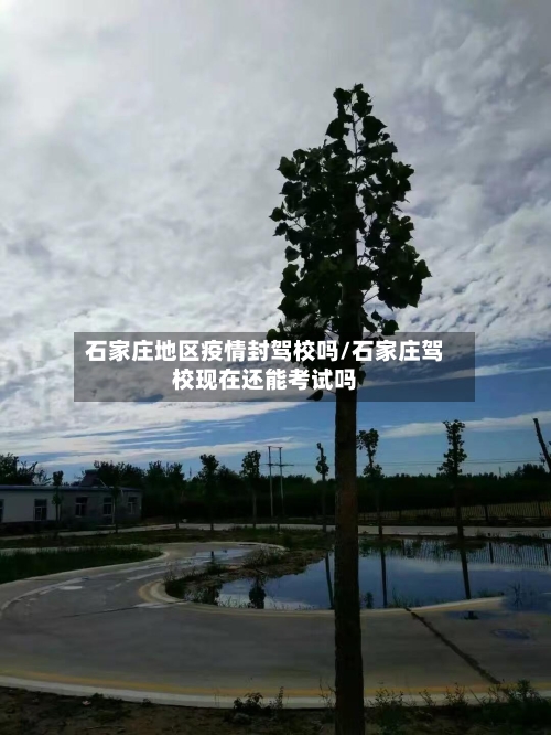 石家庄地区疫情封驾校吗/石家庄驾校现在还能考试吗-第3张图片