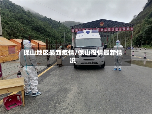保山地区最新疫情/保山役情最新情况-第3张图片