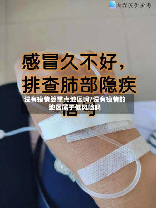 没有疫情算重点地区吗/没有疫情的地区属于低风险吗
