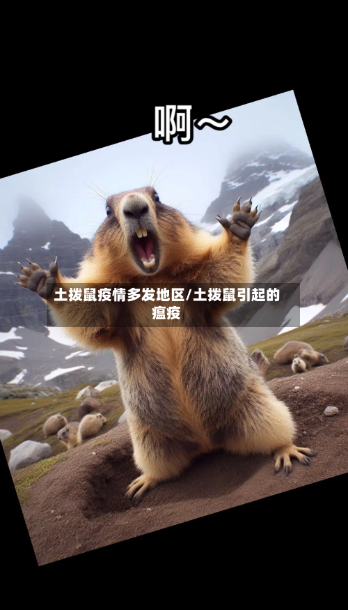 土拨鼠疫情多发地区/土拨鼠引起的瘟疫