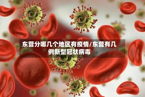 东营分哪几个地区有疫情/东营有几例新型冠状病毒-第2张图片