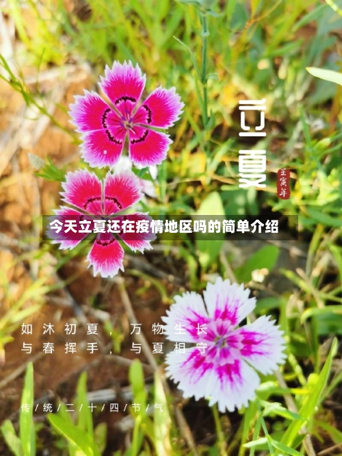 今天立夏还在疫情地区吗的简单介绍