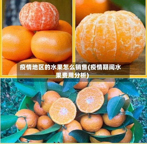 疫情地区的水果怎么销售(疫情期间水果费用分析)