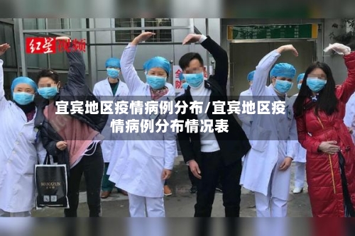 宜宾地区疫情病例分布/宜宾地区疫情病例分布情况表-第2张图片