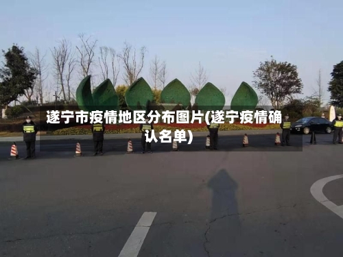 遂宁市疫情地区分布图片(遂宁疫情确认名单)-第2张图片