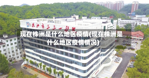 现在株洲是什么地区疫情(现在株洲是什么地区疫情情况)-第2张图片