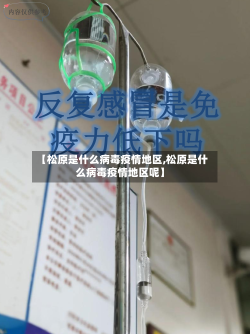 【松原是什么病毒疫情地区,松原是什么病毒疫情地区呢】-第3张图片