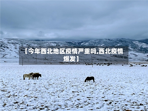 【今年西北地区疫情严重吗,西北疫情爆发】