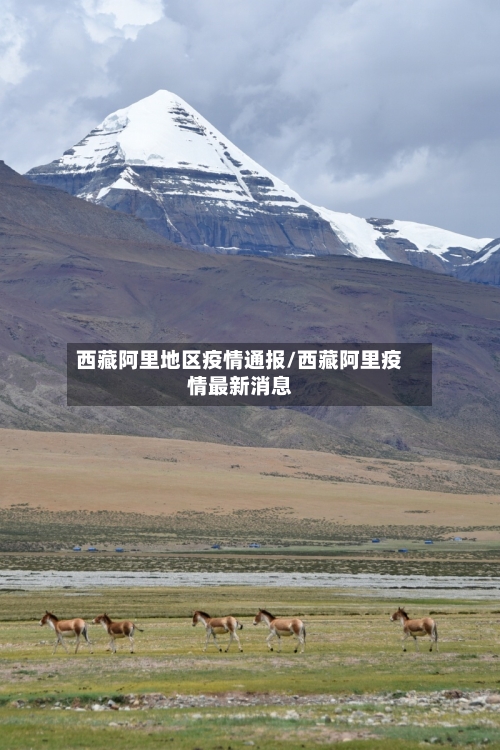 西藏阿里地区疫情通报/西藏阿里疫情最新消息