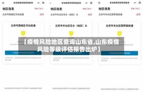 【疫情风险地区查询山东省,山东疫情风险等级评估报告出炉】