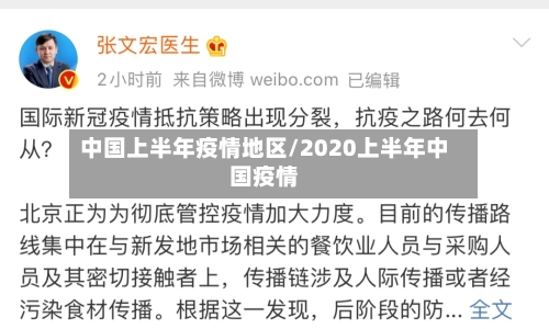 中国上半年疫情地区/2020上半年中国疫情-第2张图片