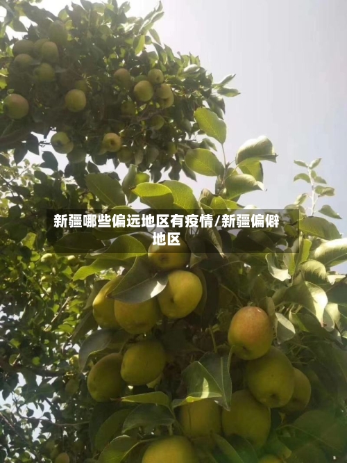 新疆哪些偏远地区有疫情/新疆偏僻地区-第3张图片