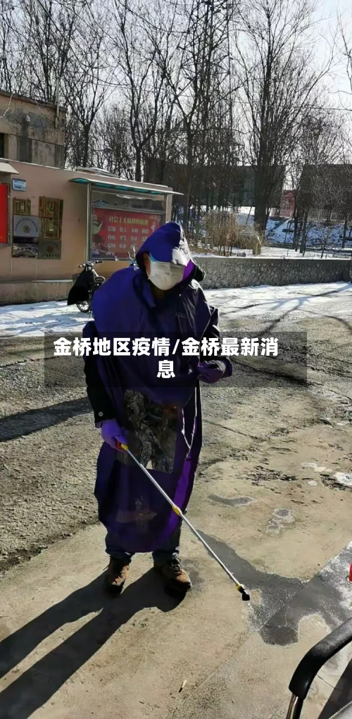 金桥地区疫情/金桥最新消息-第2张图片