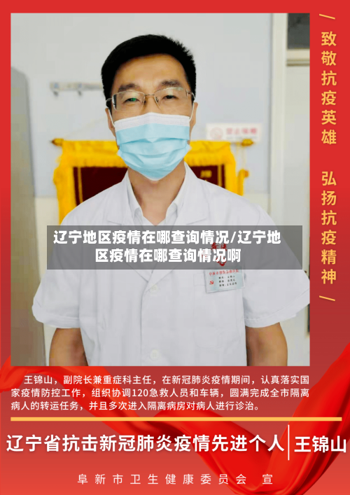 辽宁地区疫情在哪查询情况/辽宁地区疫情在哪查询情况啊-第2张图片