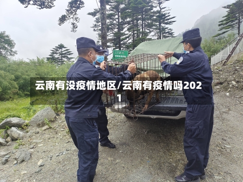 云南有没疫情地区/云南有疫情吗2021-第2张图片