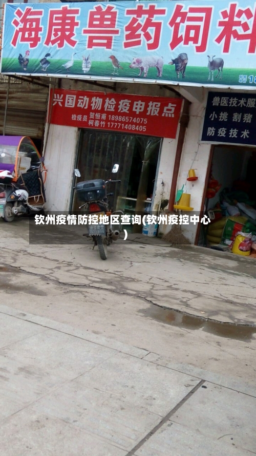 钦州疫情防控地区查询(钦州疫控中心)-第2张图片