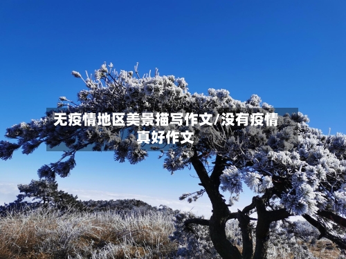 无疫情地区美景描写作文/没有疫情真好作文-第2张图片