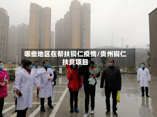 哪些地区在帮扶铜仁疫情/贵州铜仁扶贫项目