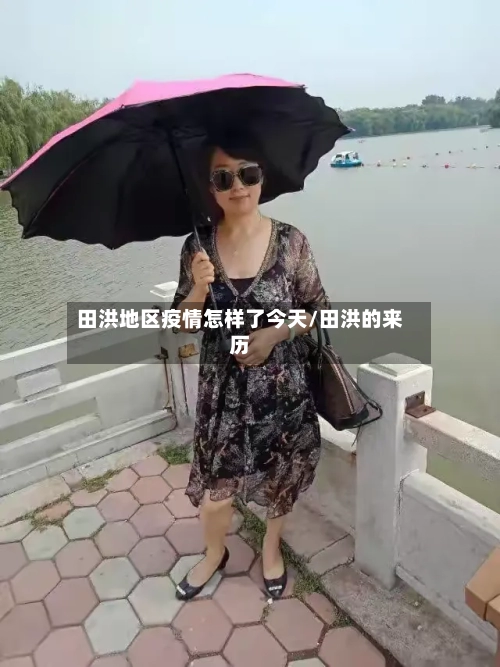 田洪地区疫情怎样了今天/田洪的来历