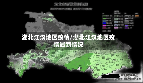湖北江汉地区疫情/湖北江汉地区疫情最新情况