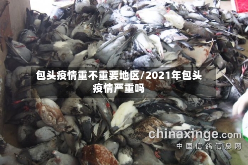 包头疫情重不重要地区/2021年包头疫情严重吗