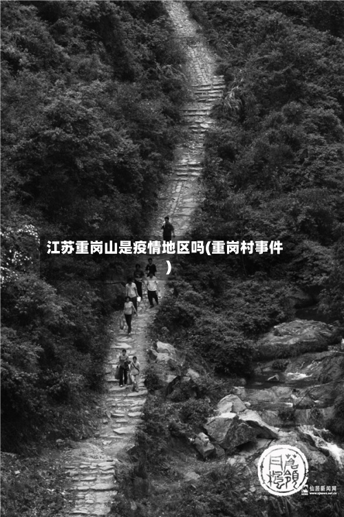 江苏重岗山是疫情地区吗(重岗村事件)-第2张图片