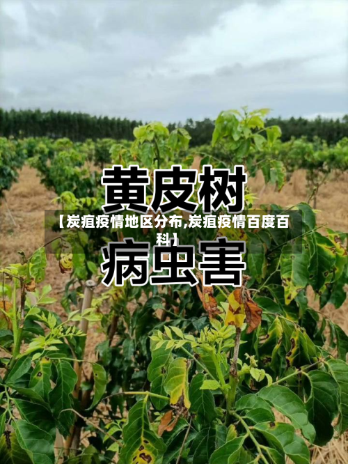 【炭疽疫情地区分布,炭疽疫情百度百科】