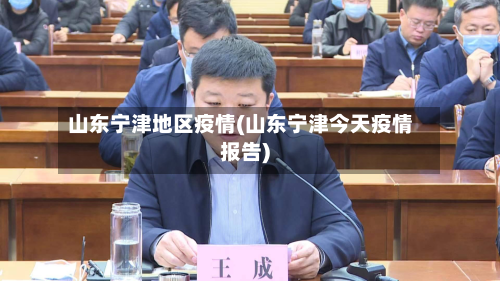 山东宁津地区疫情(山东宁津今天疫情报告)-第2张图片