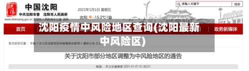 沈阳疫情中风险地区查询(沈阳最新中风险区)-第2张图片