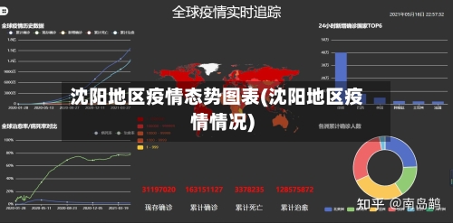沈阳地区疫情态势图表(沈阳地区疫情情况)