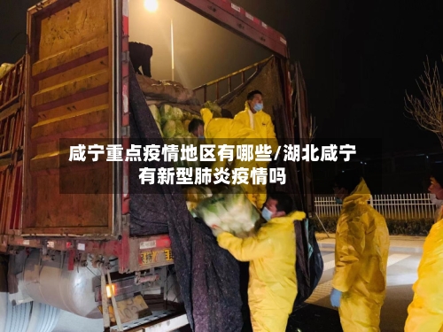 咸宁重点疫情地区有哪些/湖北咸宁有新型肺炎疫情吗-第3张图片