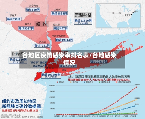 各地区疫情感染率排名表/各地感染情况