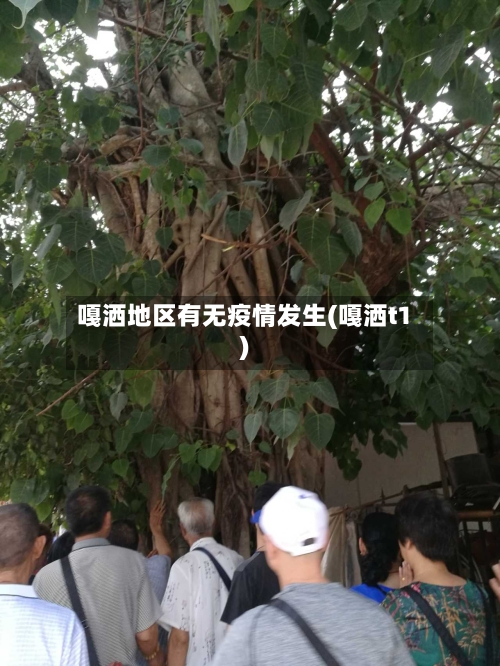 嘎洒地区有无疫情发生(嘎洒t1)-第2张图片