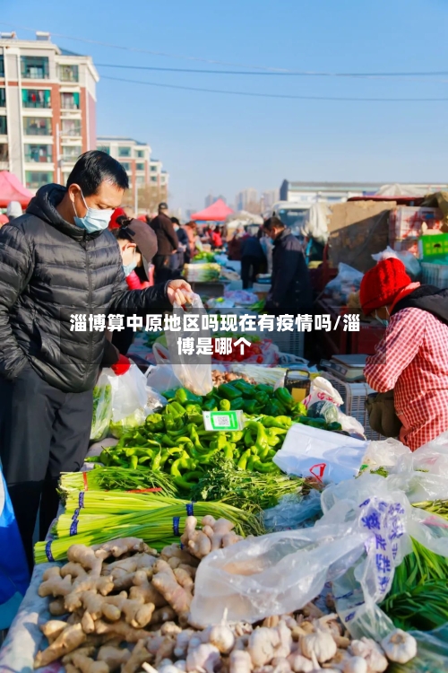 淄博算中原地区吗现在有疫情吗/淄博是哪个