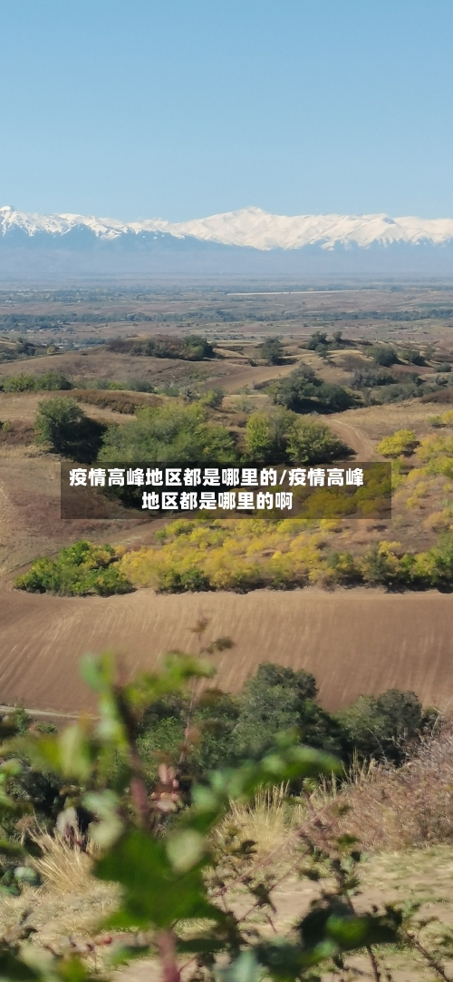 疫情高峰地区都是哪里的/疫情高峰地区都是哪里的啊