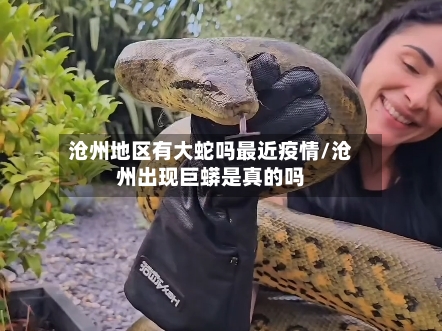 沧州地区有大蛇吗最近疫情/沧州出现巨蟒是真的吗-第3张图片