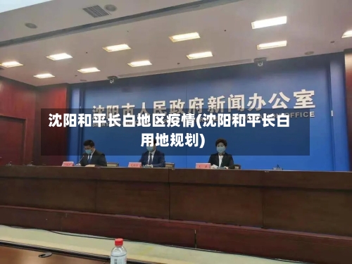 沈阳和平长白地区疫情(沈阳和平长白用地规划)