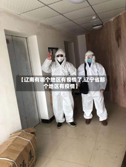 【辽南有哪个地区有疫情了,辽宁省那个地区有疫情】
