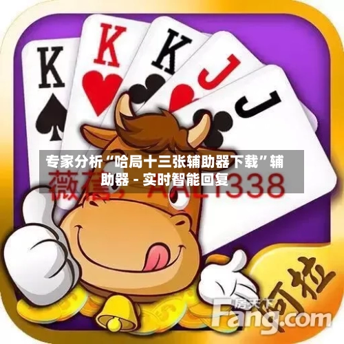 专家分析“哈局十三张辅助器下载”辅助器 - 实时智能回复