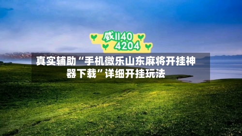 真实辅助“手机微乐山东麻将开挂神器下载”详细开挂玩法-第3张图片