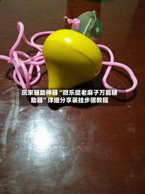 玩家辅助神器“微乐捉老麻子万能辅助器”详细分享装挂步骤教程-第3张图片