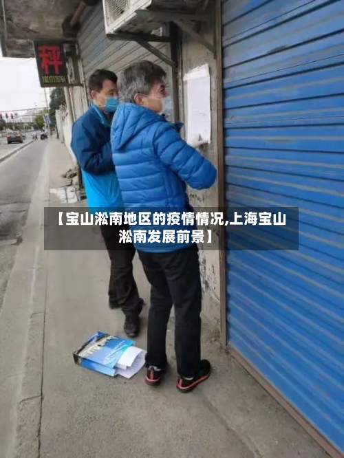 【宝山淞南地区的疫情情况,上海宝山淞南发展前景】