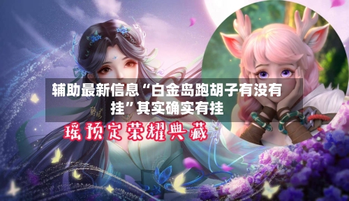 辅助最新信息“白金岛跑胡子有没有挂	”其实确实有挂-第2张图片