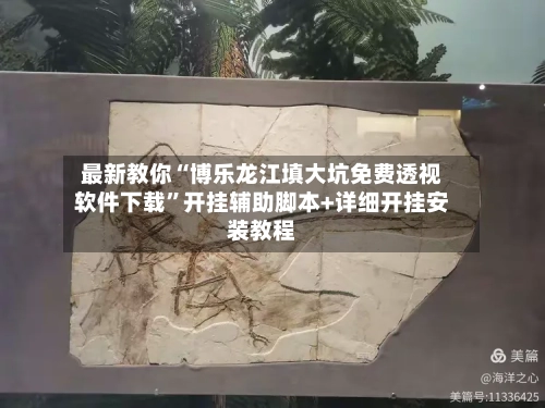 最新教你“博乐龙江填大坑免费透视软件下载”开挂辅助脚本+详细开挂安装教程