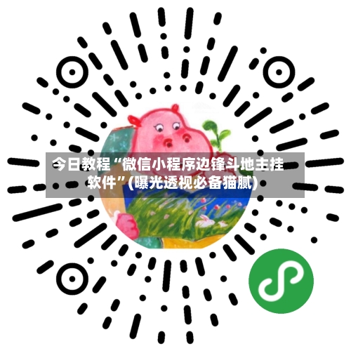 今日教程“微信小程序边锋斗地主挂软件”(曝光透视必备猫腻)-第3张图片