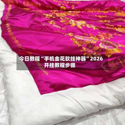 今日教程“手机金花软挂神器”2026开挂教程步骤-第2张图片