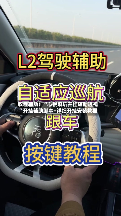 教程辅助！“心悦填坑开挂辅助透视”开挂辅助脚本+详细开挂安装教程-第2张图片